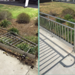 ADA Compliance and Commercial Renovation Georgia